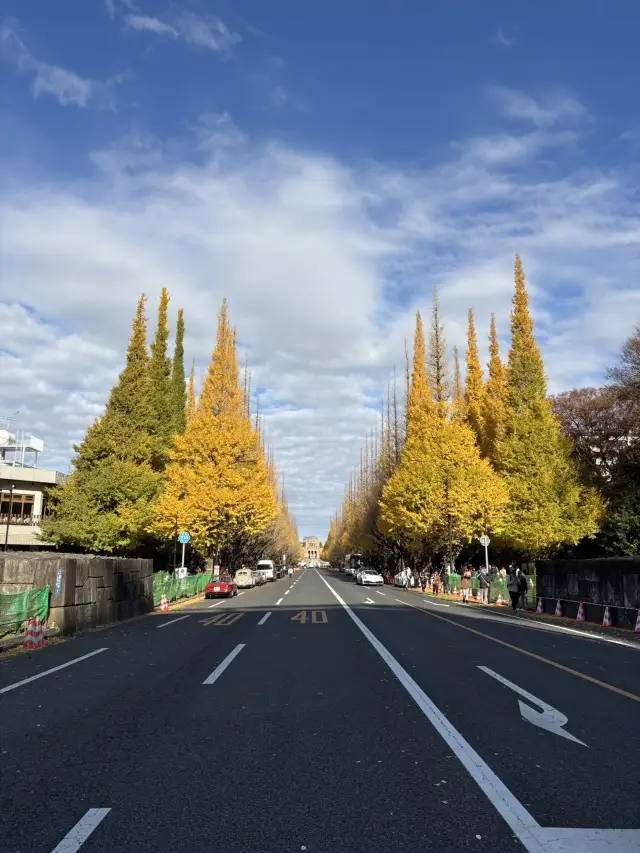 東京橫濱5日4夜之旅
