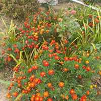 Tropical Adventure from Cool Mountain Foothills to Sun light Islands