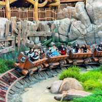 𝙎𝙝𝙖𝙣𝙜𝙝𝙖𝙞 𝘿𝙞𝙨𝙣𝙚𝙮𝙡𝙖𝙣𝙙 🧸🪅🪆