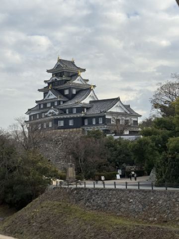 岡山の必見スポット 岡山三大名城 金の鯱を持つ烏城