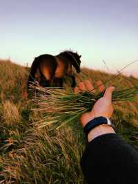 🇬🇧 Dover — the perfect one-day escape from London! 