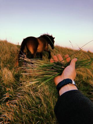 도버 — 런던에서 하루 만에 떠나는 완벽한 여행!