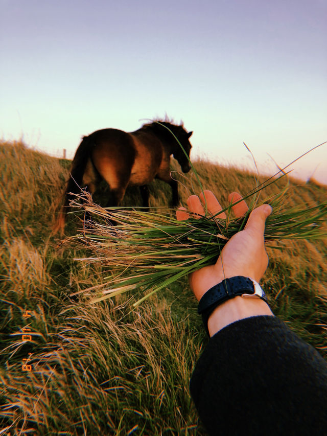 🇬🇧 Dover — the perfect one-day escape from London! 