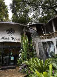 Rainforest Escape🌴