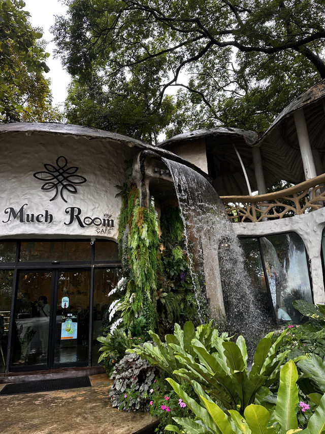 Rainforest Escape🌴 Rainforest Escape🌴