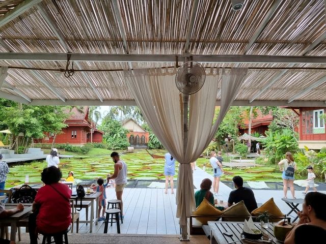 Cafe Oasis Near Phuket Airport: Lotus Leaves, Insta Vibes & Epic Eats 🌿✨