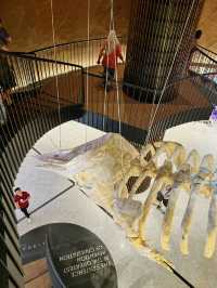 The Ultimate 24-Hour Library Vibes at BookXcess Sunway Square 📚✨