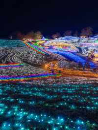 え？四国最大級のイルミネーションがたったの450円？！！まんのう公園のイルミネーション2025