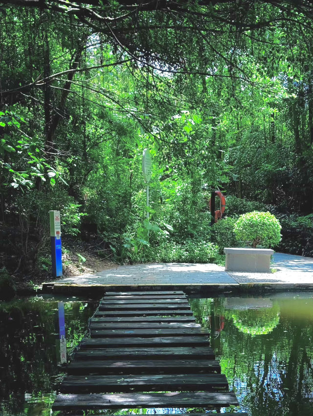 隱藏在市區裏的綠野仙蹤💕深圳(燕晗山郊野公園)治癒祕境 隱藏在市區裏的綠野仙蹤💕深圳(燕晗山郊野公園)治癒祕境