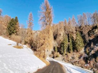 ภูเขาหิมะ