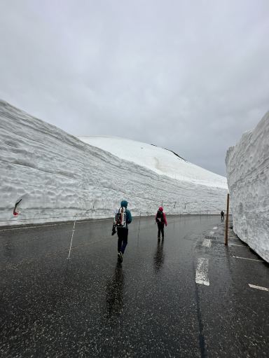 2026 雪の大谷 | 立山町観光スポットの観光ガイドと旅行体験 | Trip