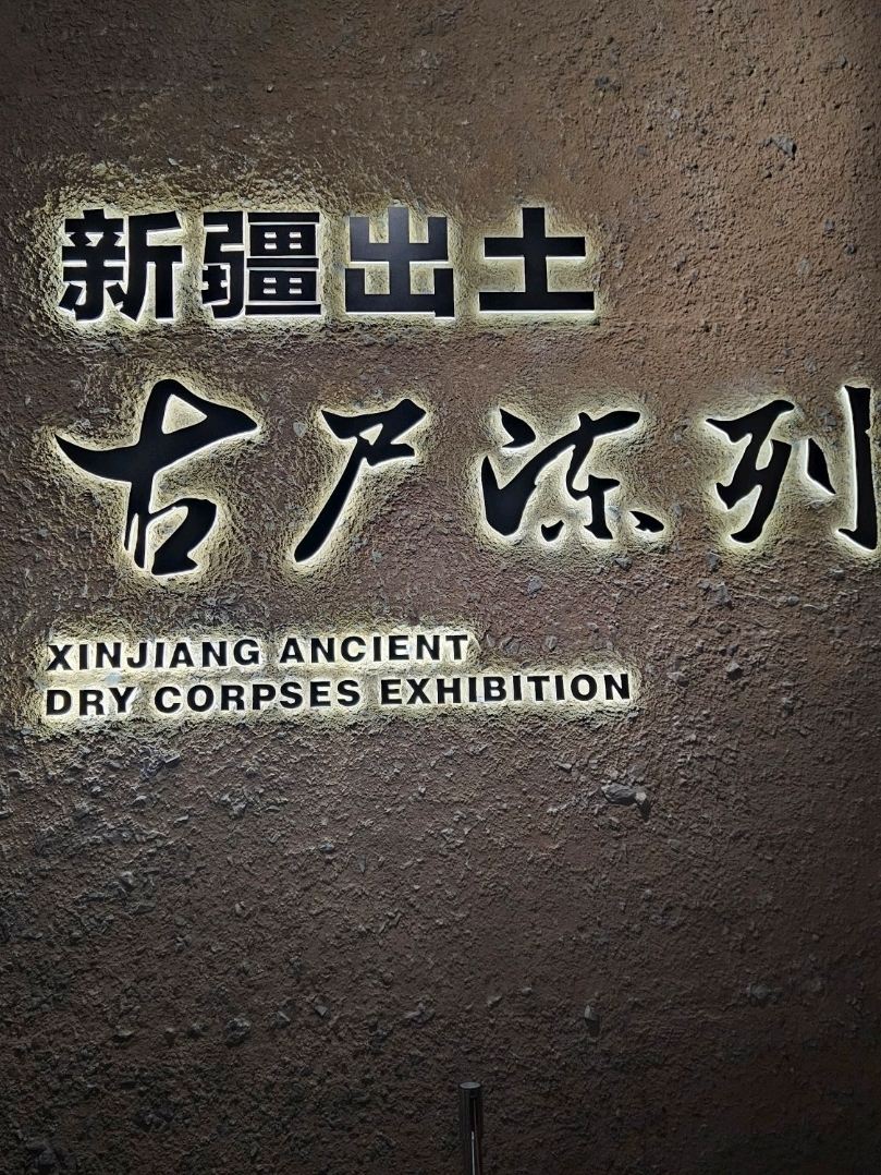 新疆ウイグル自治区博物館。 | Trip.com ウルムチ