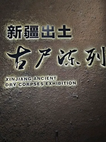 新疆ウイグル自治区博物館。 | Trip.com ウルムチ