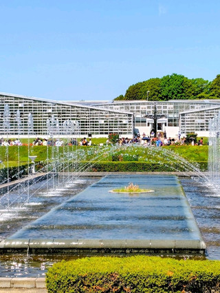 東京最大級的玫瑰園春季玫瑰節