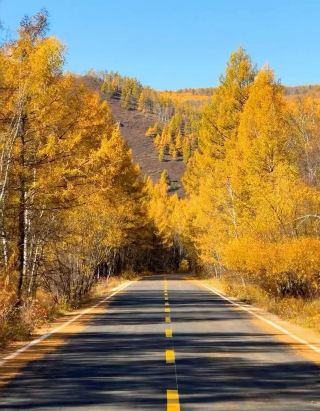 Daxing’anling — Better Than the Textbook 🍂📖