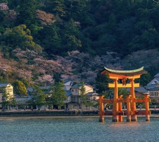 รีวิวเจาะลึก Itsukushima Shrine ท่องศาลเจ้าลอยน้ำมรดกโลกและเสาโทริอิแดงยักษ์กลางทะเลที่ฮิโรชิม่า ⛩️