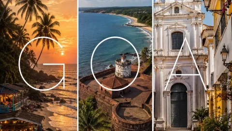印度果阿🇮🇳🌴-熱帶天堂與印度文化的交會之地 — traveler post in 果阿