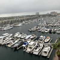 Ritz Carlton Marina Del Rey