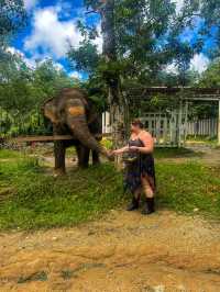 Phuket's Most Ethical Elephant Sanctuary 