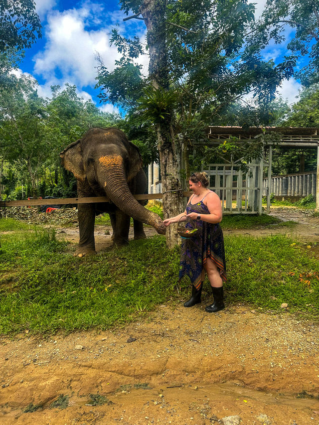 Phuket's Most Ethical Elephant Sanctuary 