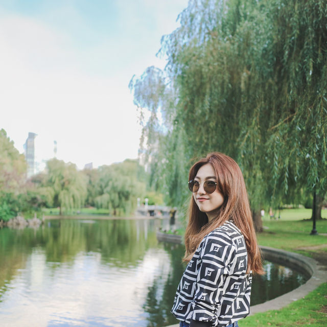 Boston Public Garden