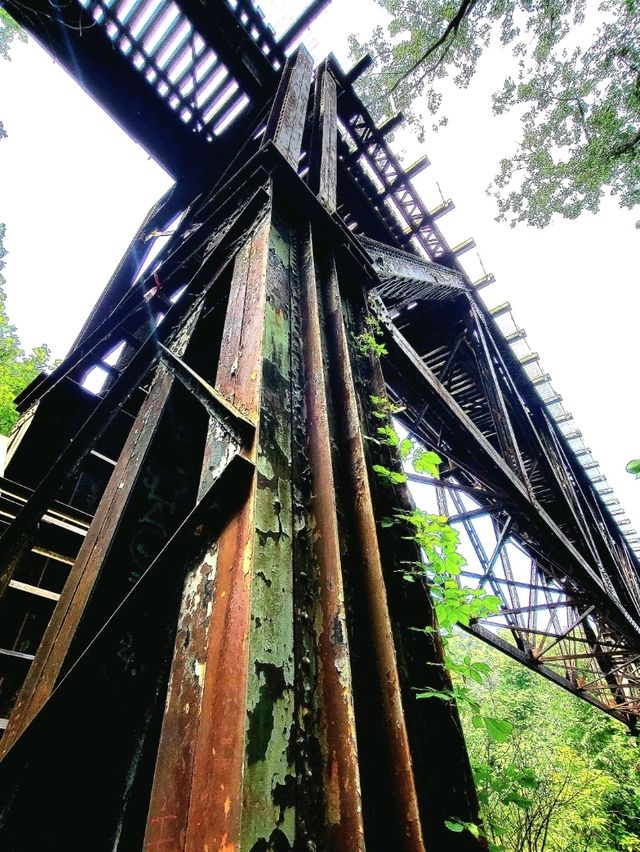 Roots, Rocks, and Rivers: Exploring Grand Ledge’s Hidden Trails