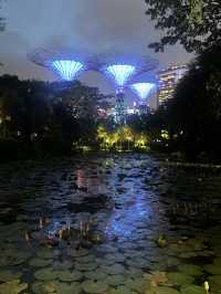 Singapore serenade