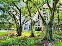 國大大學城