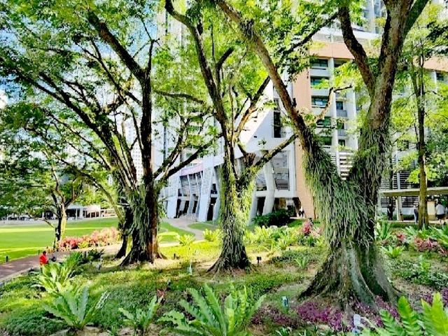 國大大學城