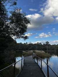 Nature beauty near Canberra