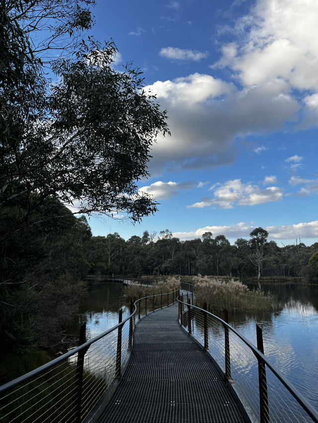 Nature beauty near Canberra