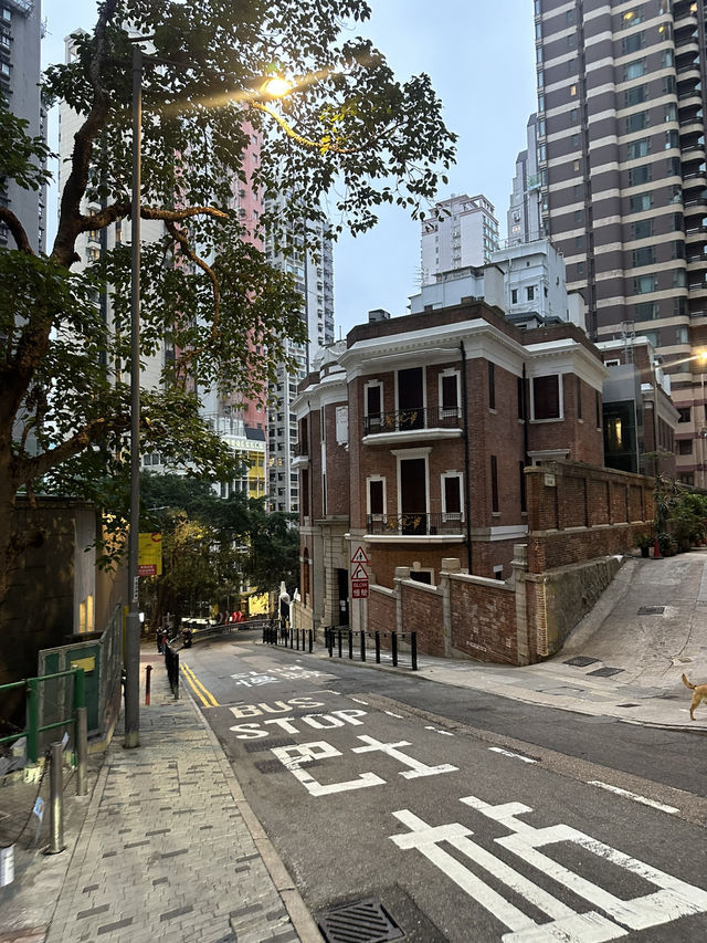 5 вещей, которые должен сделать в Гонконге турист🇭🇰 5 вещей, которые должен сделать в Гонконге турист🇭🇰