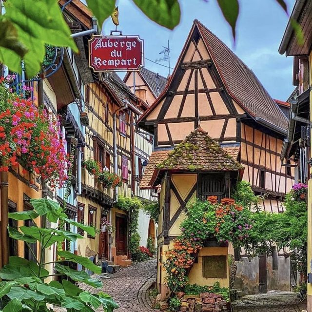 timeless alsage 🇫🇷 