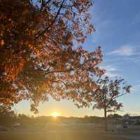 Sherwood… breath of Arkansas