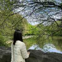 아일랜드 더블린, 유명한 공원. St Stephen’s Green 🌳