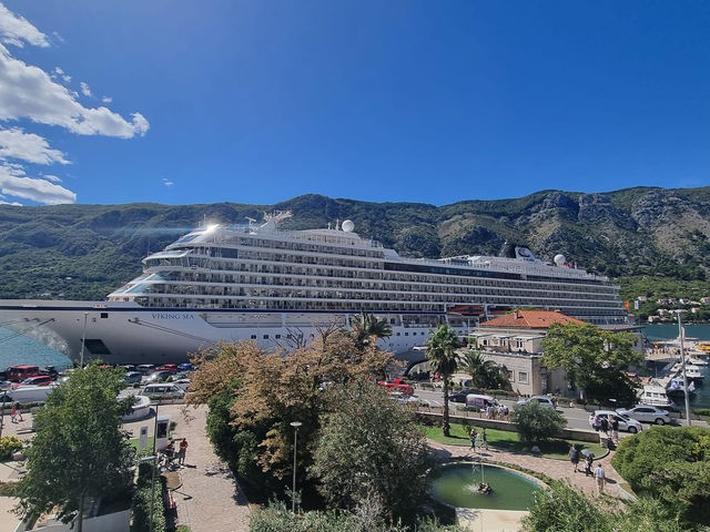 Port of Kotor 🗺️