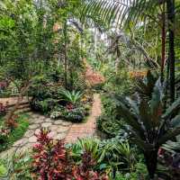 Caribbean wonderland to get lost in