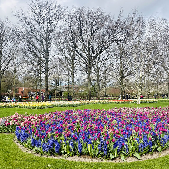 Flower Power: My Bloomin' Fantastic Keukenhof