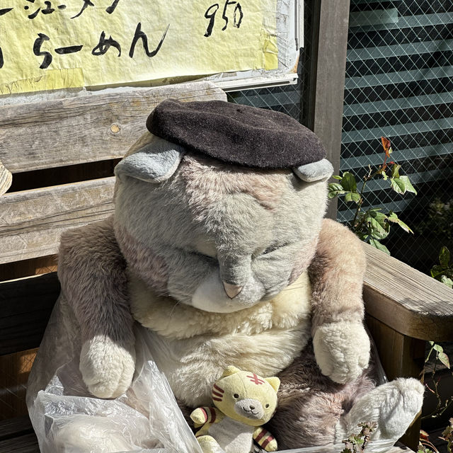 來東京不能錯過得的貓貓神社🐱