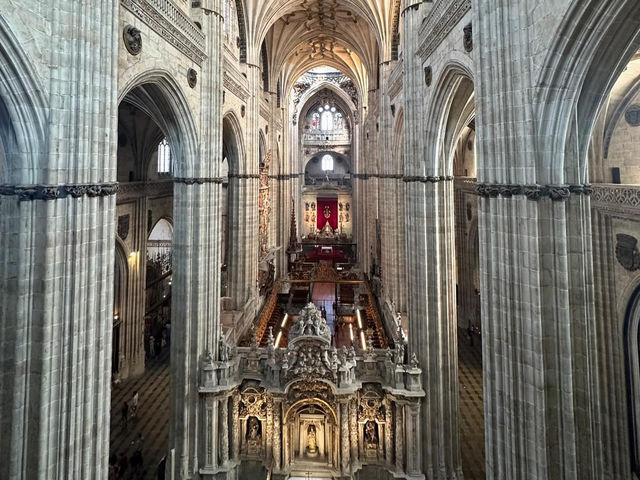 Salamanca Cathedral 🇪🇸
