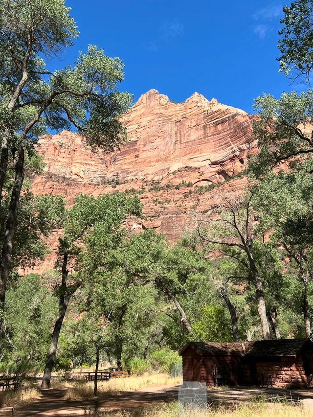 A visit to the National Park 🇺🇸
