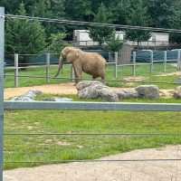 The Maryland Zoo in Baltimore 🇺🇸