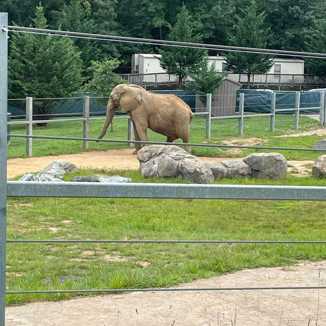 The Maryland Zoo in Baltimore 🇺🇸
