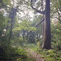 Kilkenny Castle Trail, A September Hiking 🌳