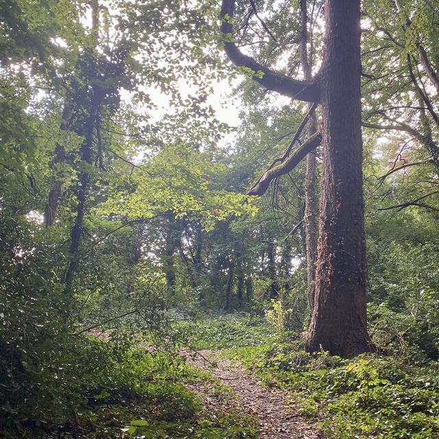 Kilkenny Castle Trail, A September Hiking 🌳