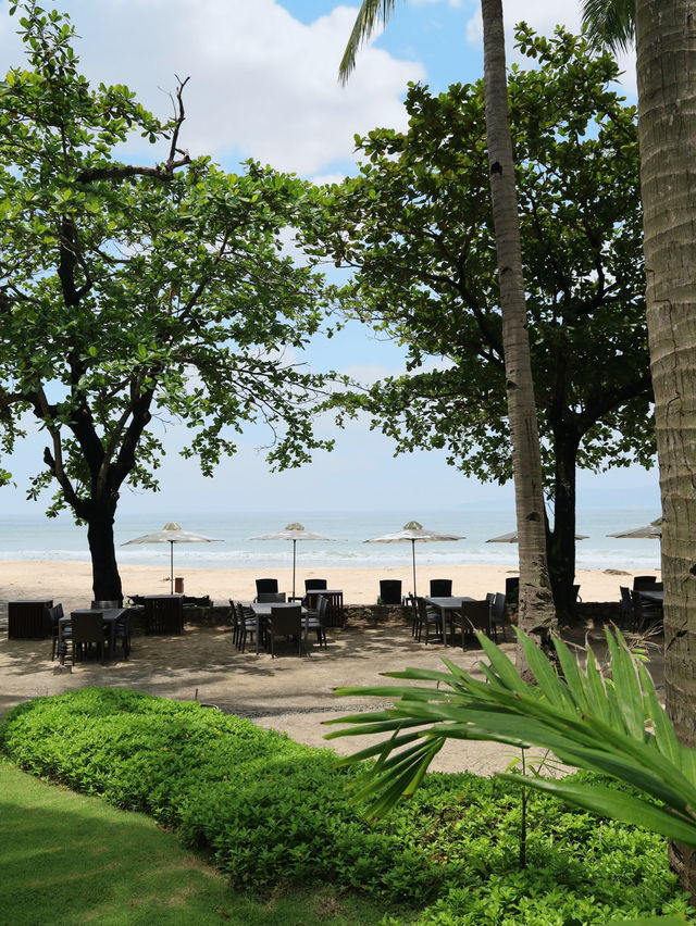 안바야 코브 골프 클럽 🏝️