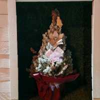 Christmas Window Displays on Liguria Street in Taranto!  