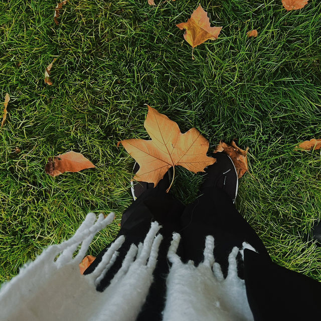 London Golden Days: Autumn at Regent’s Park