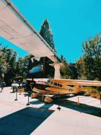 Disney California Adventure – Thrills, Shows & Hidden Gems!