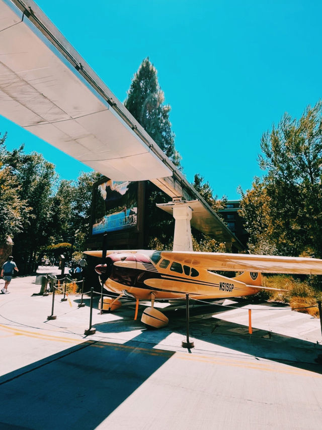 Disney California Adventure – Thrills, Shows & Hidden Gems!